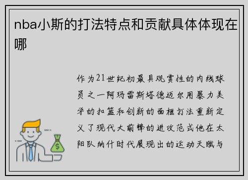 nba小斯的打法特点和贡献具体体现在哪